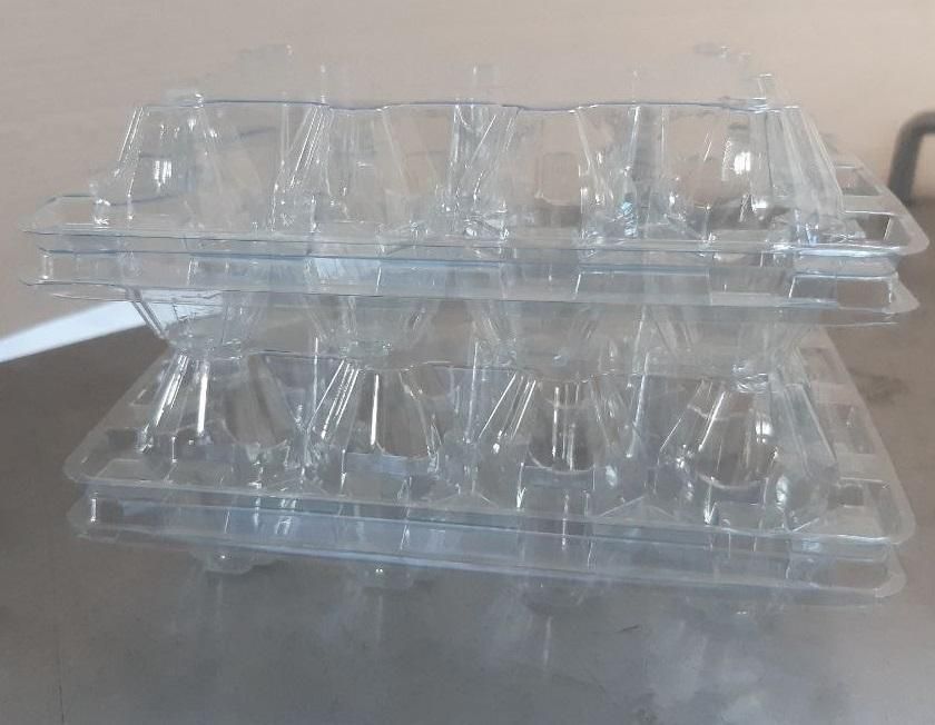 پک بهداشتی جهت بسته بندی تخم بلدرچین(12عددی)|عمدهفروشی|سبزوار, |دیوار