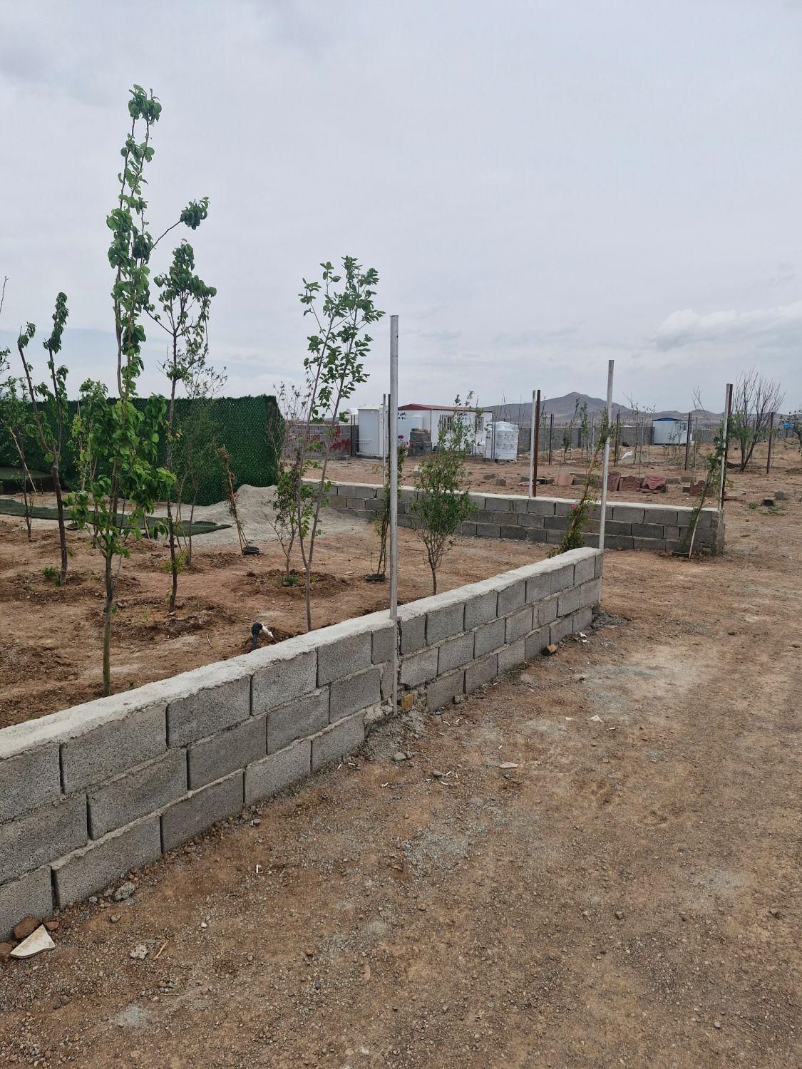 باغ و باغچه نقلی سند دار|فروش زمین و ملک کلنگی|صفادشت, |دیوار