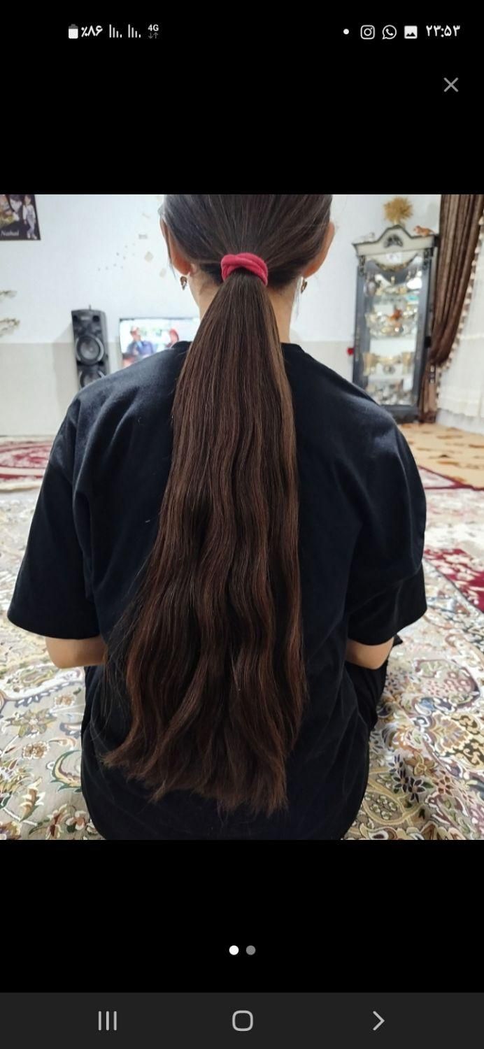 کوتاهی مو در منزل شما|آرایشگاه و سالن‌های زیبایی|هشتگرد, |دیوار