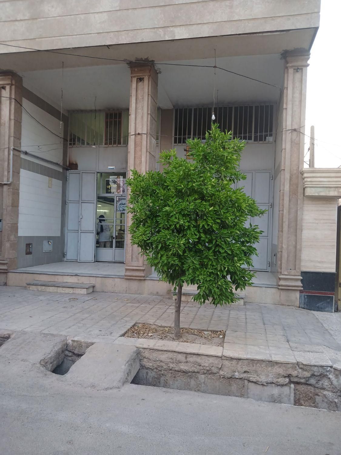 اجاره مغازه ۴۵ متری در آب جوار|اجارهٔ مغازه و غرفه|شیراز, دشت چنار|دیوار
