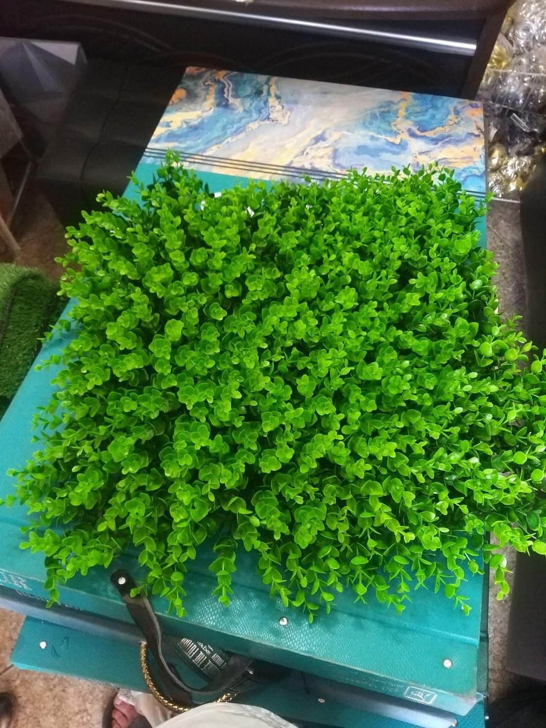 پخش چمن مصنوعی،گرینوال،فنس چمنی و برگی|خدمات باغبانی و درختکاری|اسلام‌شهر, |دیوار