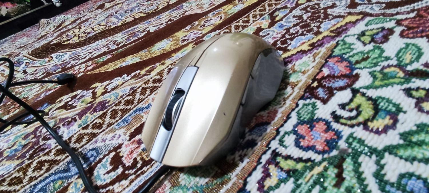 موس گیمینگ|قطعات و لوازم جانبی رایانه|تربت جام, جامی|دیوار