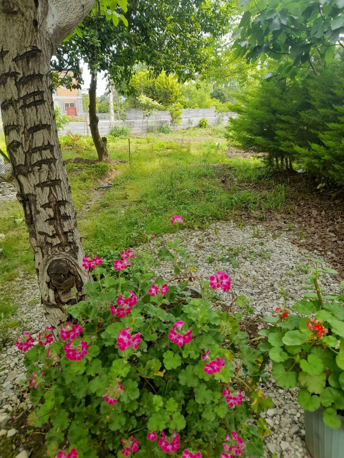 اجاره ی ویلا|اجارهٔ کوتاه‌مدت ویلا و باغ|چالوس, |دیوار