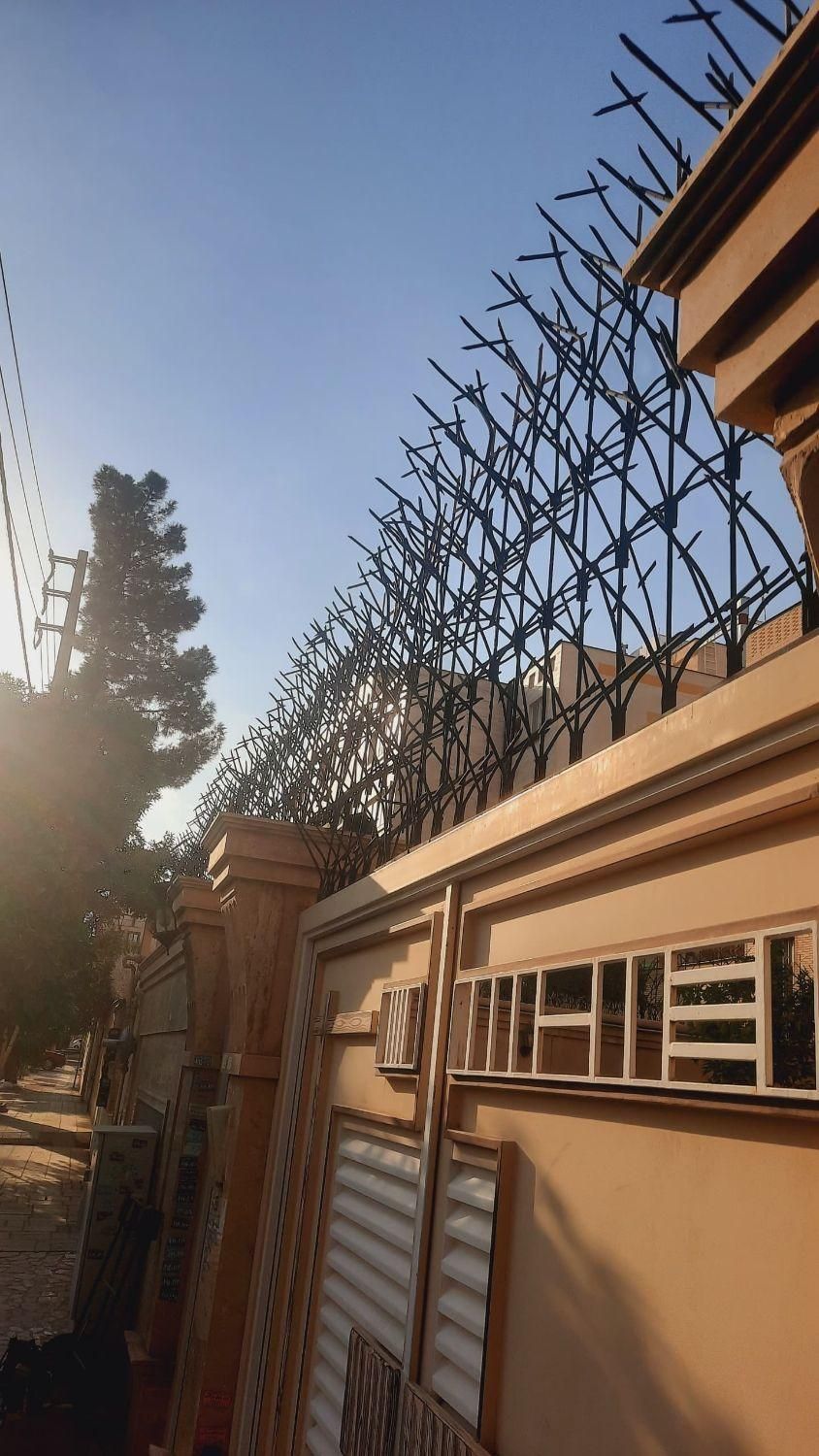 نرده بزرگ حفاظ کوچک دزدگیر درختی|مصالح و تجهیزات ساختمان|شیراز, شهرک گلدشت حافظ‎|دیوار