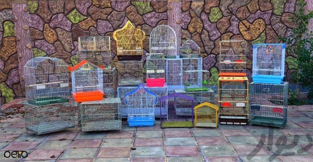 قفس پرنده تولیدی،عمده فروشی با پیک|لوازم جانبی مربوط به حیوانات|کرج, آزادگان|دیوار