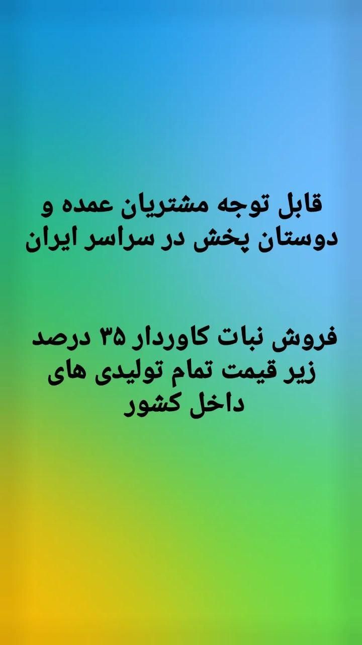 نبات ۴۰۰ عددی|عمده‌فروشی|تهران, اقدسیه|دیوار