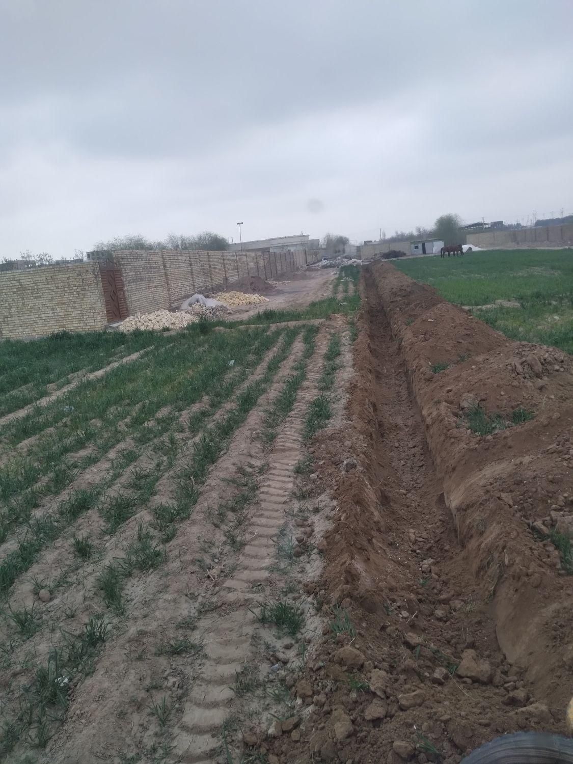اجاره بیل میکانیکی بیل بکهو بیل بکو|خدمات حمل و نقل|مشهد, طلاب|دیوار