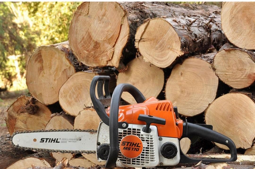 چمن زن علفزن هرس درخت وقطع درخت|خدمات باغبانی و درختکاری|بهبهان, |دیوار