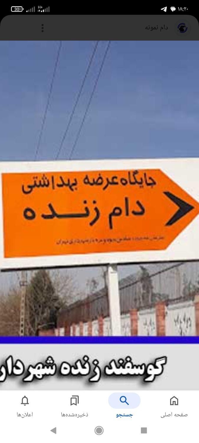 گوسفندزنده(دامداران تهران)سالم وبهداشتی|حیوانات مزرعه|تهران, سبلان|دیوار