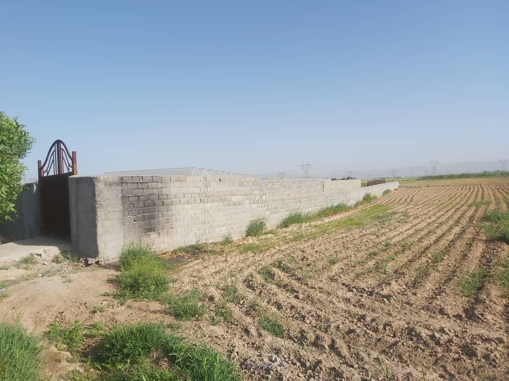زمین کشاورزی با مجوز آماده برای ساخت گلخانه|فروش زمین و ملک کلنگی|شریفآباد, |دیوار