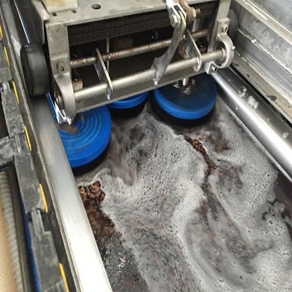 قالیشویی مبلشویی سراج پائیز پاسارگاد مبل موکت شویی|خدمات نظافت|شیراز, شهرک سراج‎|دیوار