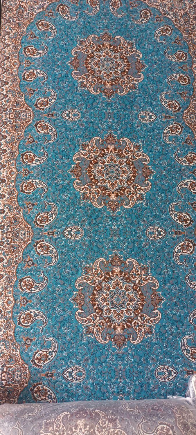 تشک تک شاه نشین در رنگ بندی|پشتی|یزد, |دیوار