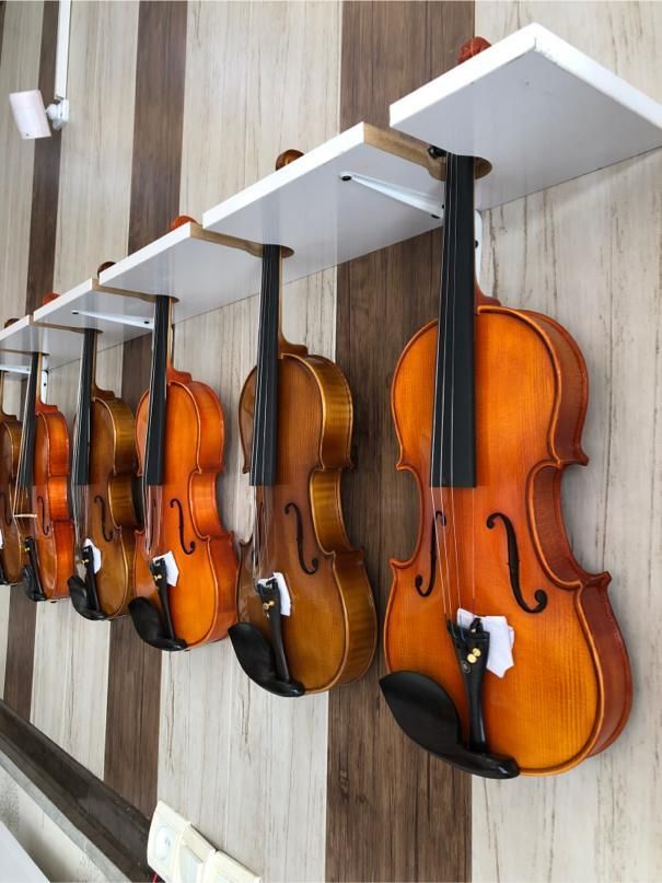 انواع ویولن مبتدی و نیمه حرفه ای|ویولن|شیراز, رازی|دیوار