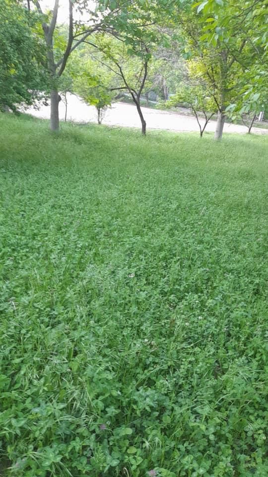 زمین کشاورزی درجواررودخانه روستای سیمیندشت(حصاربن)|فروش زمین و ملک کلنگی|فیروزکوه, |دیوار