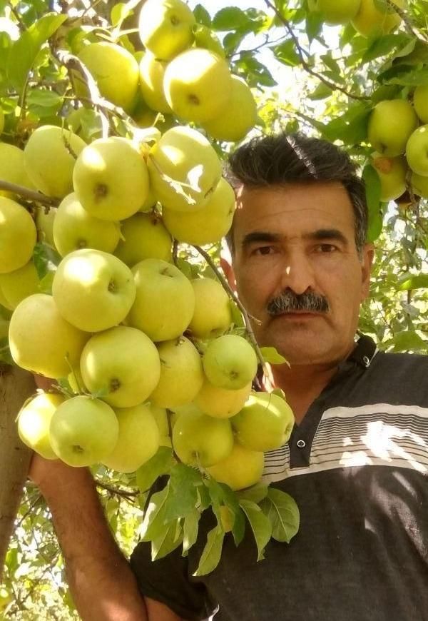 خدمات باغبانی گلبهار|خدمات باغبانی و درختکاری|گلبهار, |دیوار