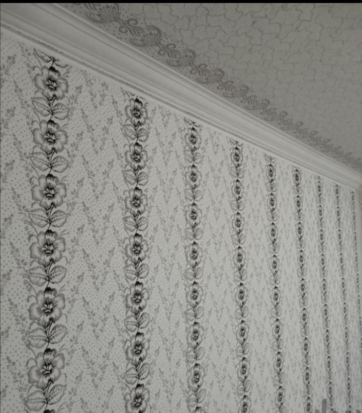 نقاشی ساختمان طرح کاغذدیواری|خدمات پیشه و مهارت|لشت نشا, |دیوار