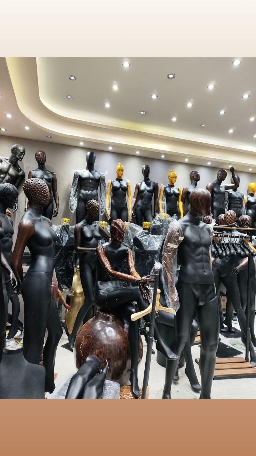 مانکن رگال چوب لباسی پاف کانتر|فروشگاه و مغازه|تبریز, |دیوار