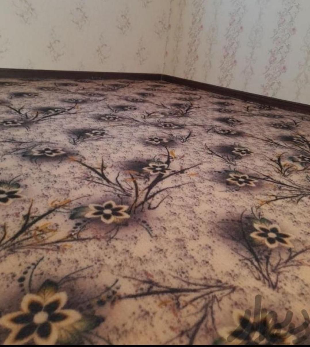 اقای موکت|موکت|کرج, مصباح|دیوار
