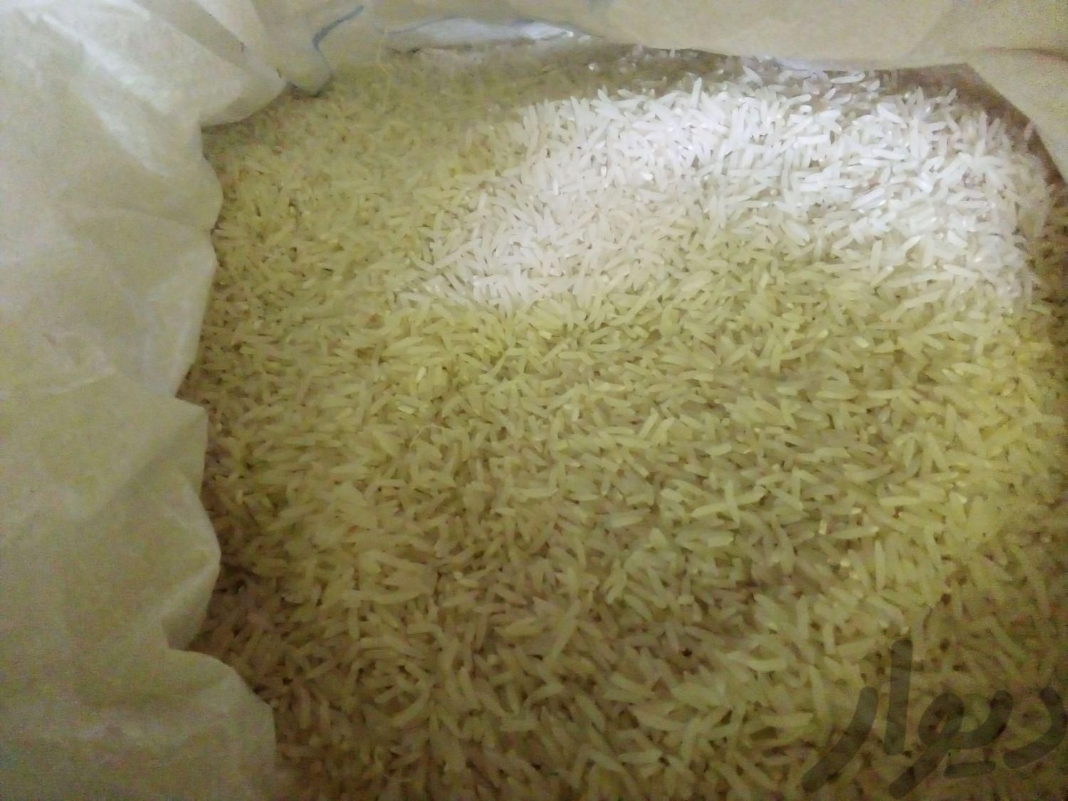 برنج ایرانی کلات|خوردنی و آشامیدنی|مشهد, کوه سنگی|دیوار