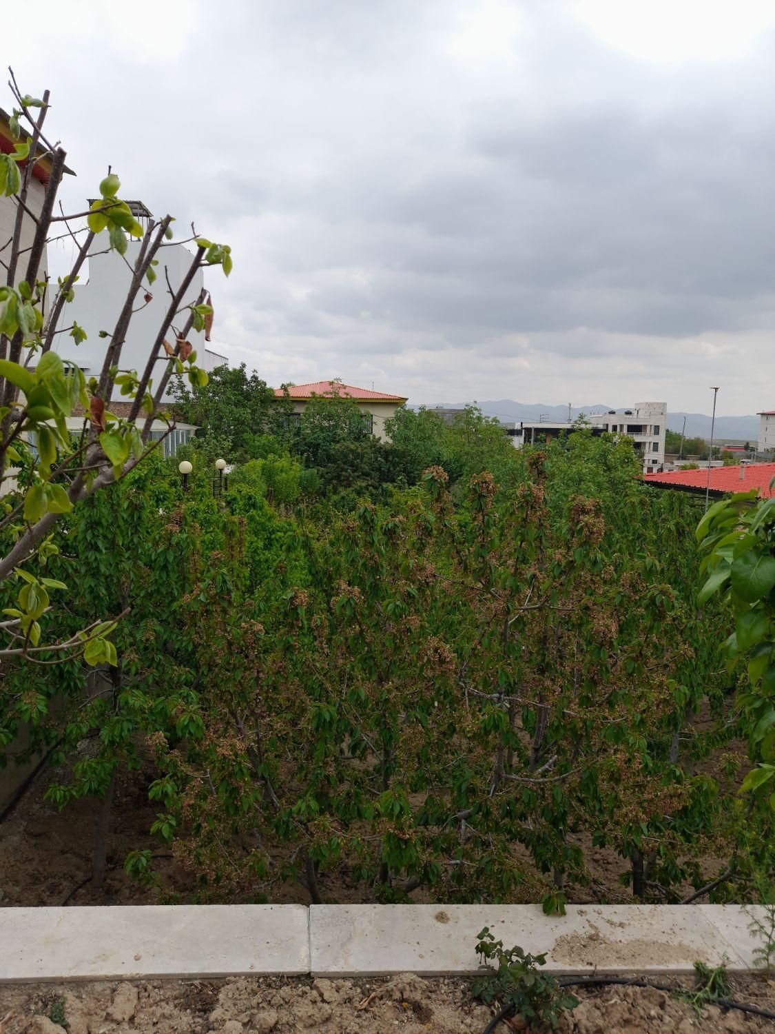 رودهن گلاهک ۱۵۰۰ متر باغ ویلا با ۲۲۰ متر بنا|فروش خانه و ویلا|رودهن, |دیوار