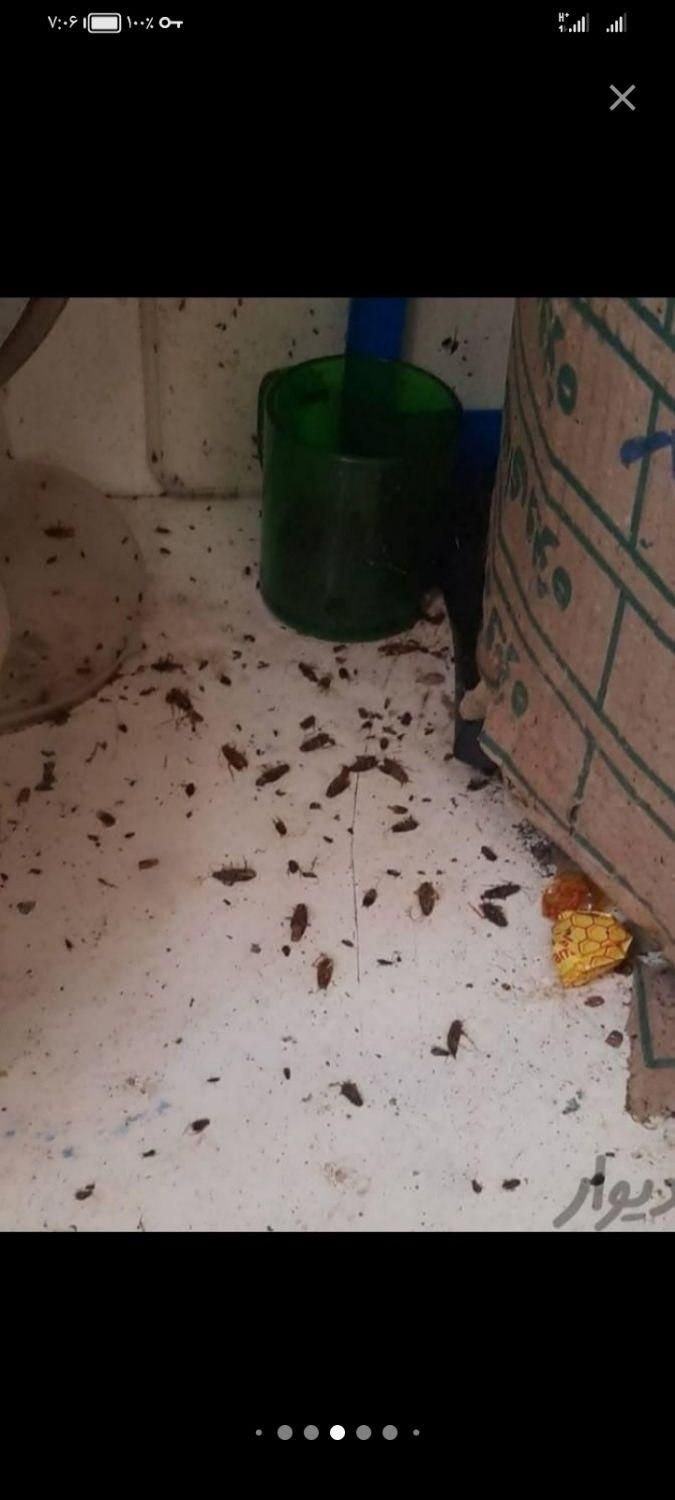 خدمات باغبانی وسمپاشی|خدمات باغبانی و درختکاری|نیشابور, |دیوار