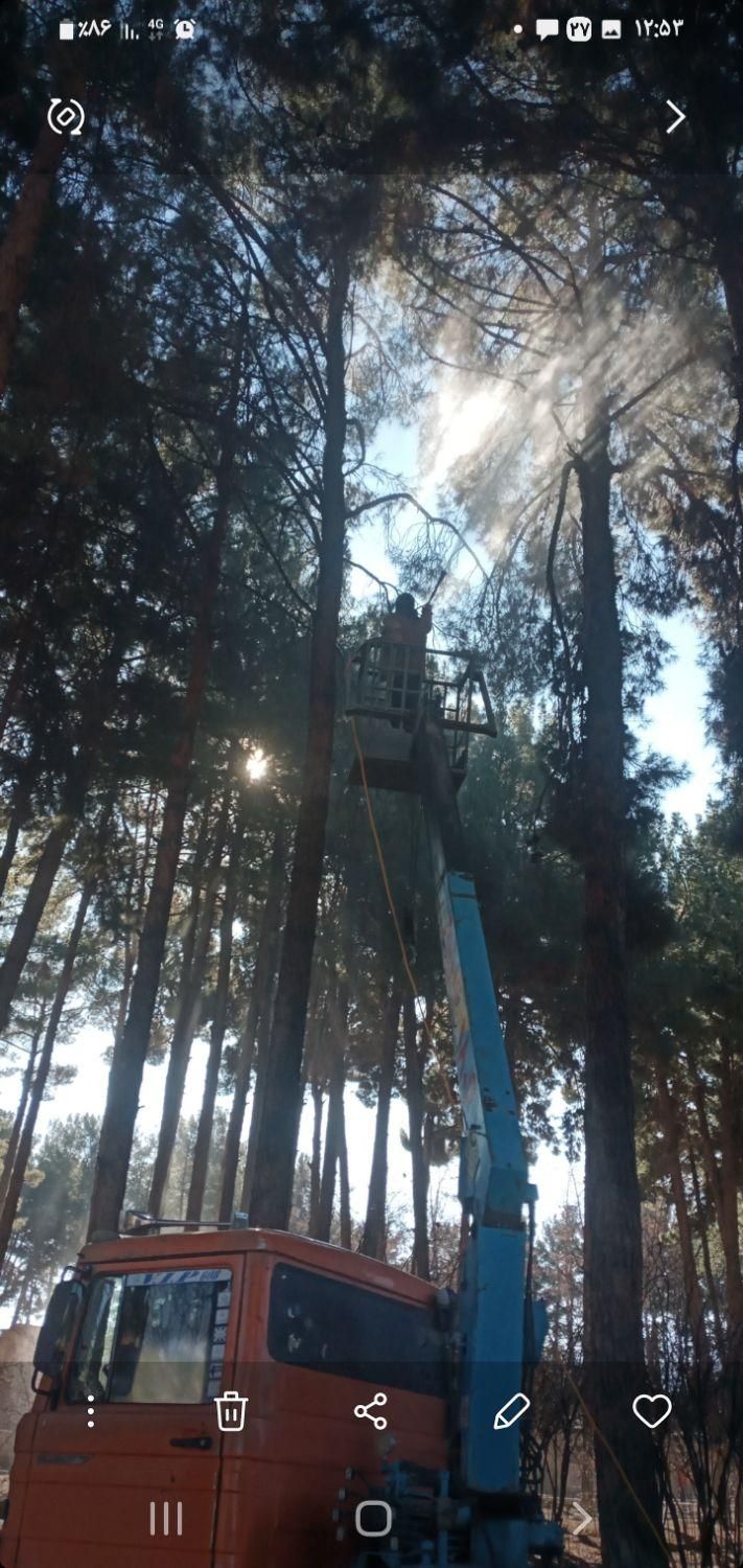 خدمات جرثقیل شبانه روزی با سبد|خدمات حمل و نقل|بیرجند, |دیوار