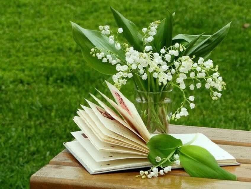 دفتر دینی|لوازم التحریر|تهران, آسمان|دیوار