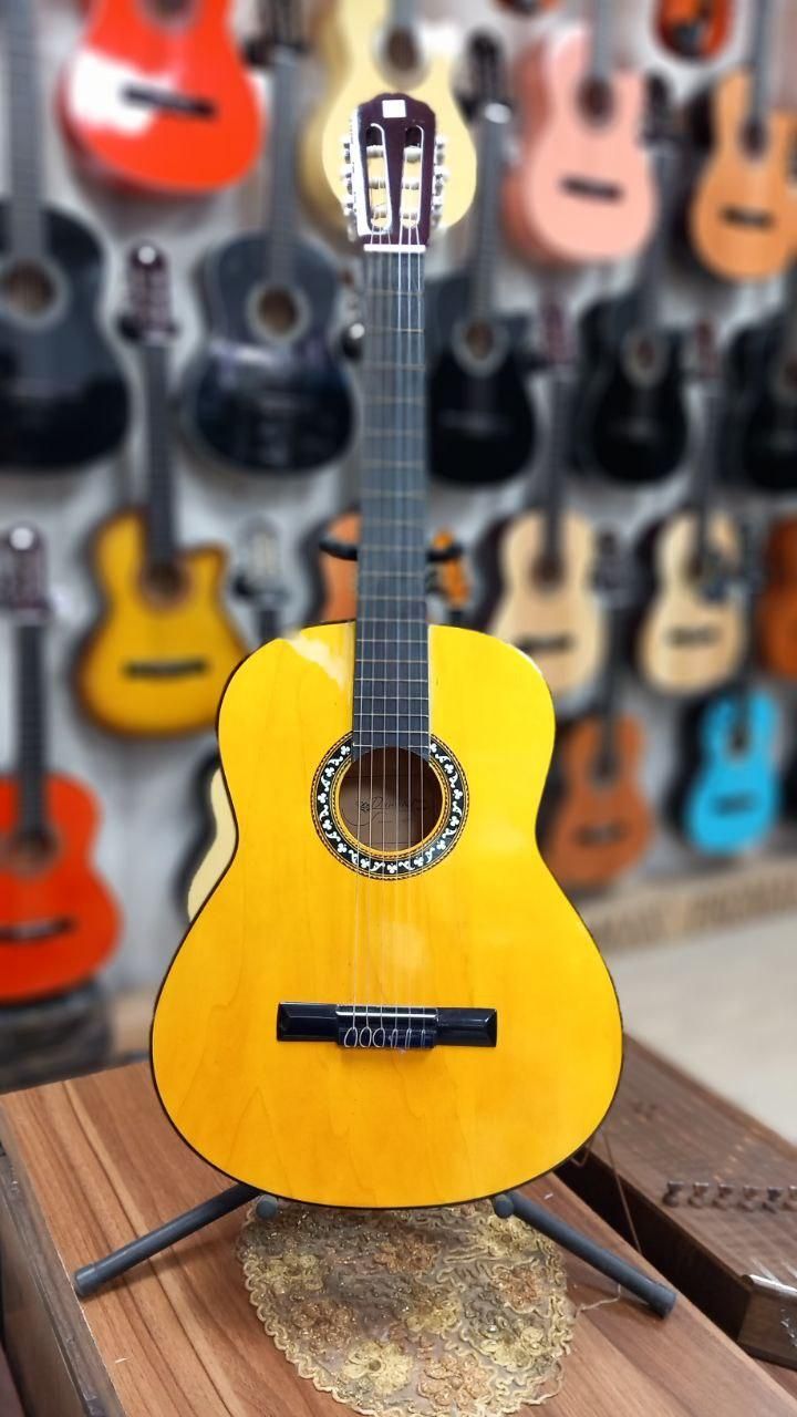 گیتار دیاموند|گیتار، بیس، امپلیفایر|رباطکریم, رباطکریم|دیوار