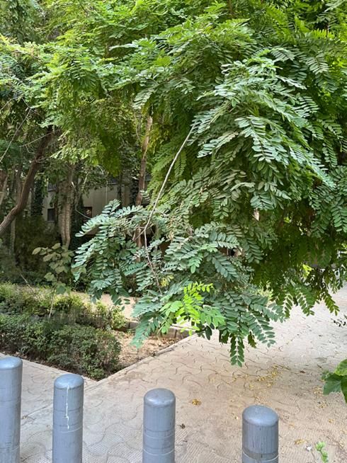 فروش باغ و زمین ۱۰۵۰ متری در عاشق‌آباد/۱۰۰متر ساخت|فروش زمین و ملک کلنگی|اصفهان, عاشق‌آباد|دیوار