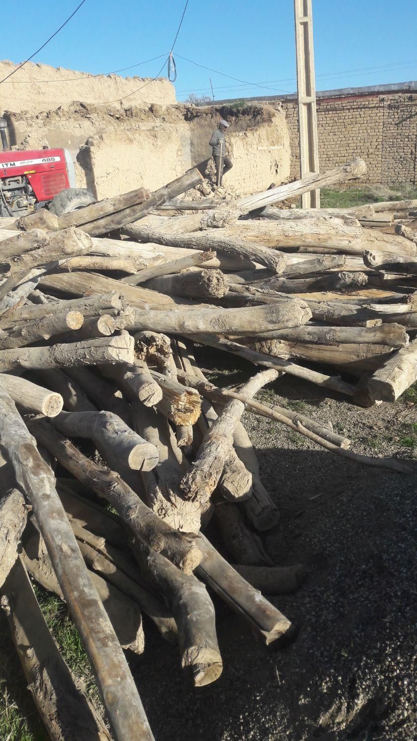 خریدار چوب در شهرستان بیجار.