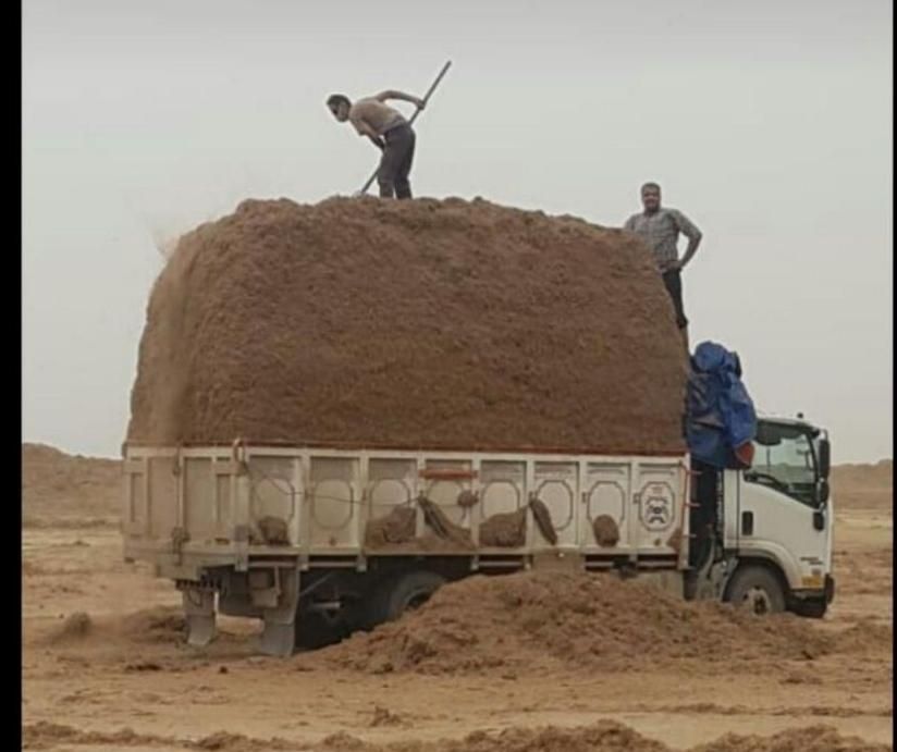 باگاس نیشکر کاه نیشکر جایگزین کاه گندم،. بصرفه|حیوانات مزرعه|اصفهان, آزادگان|دیوار