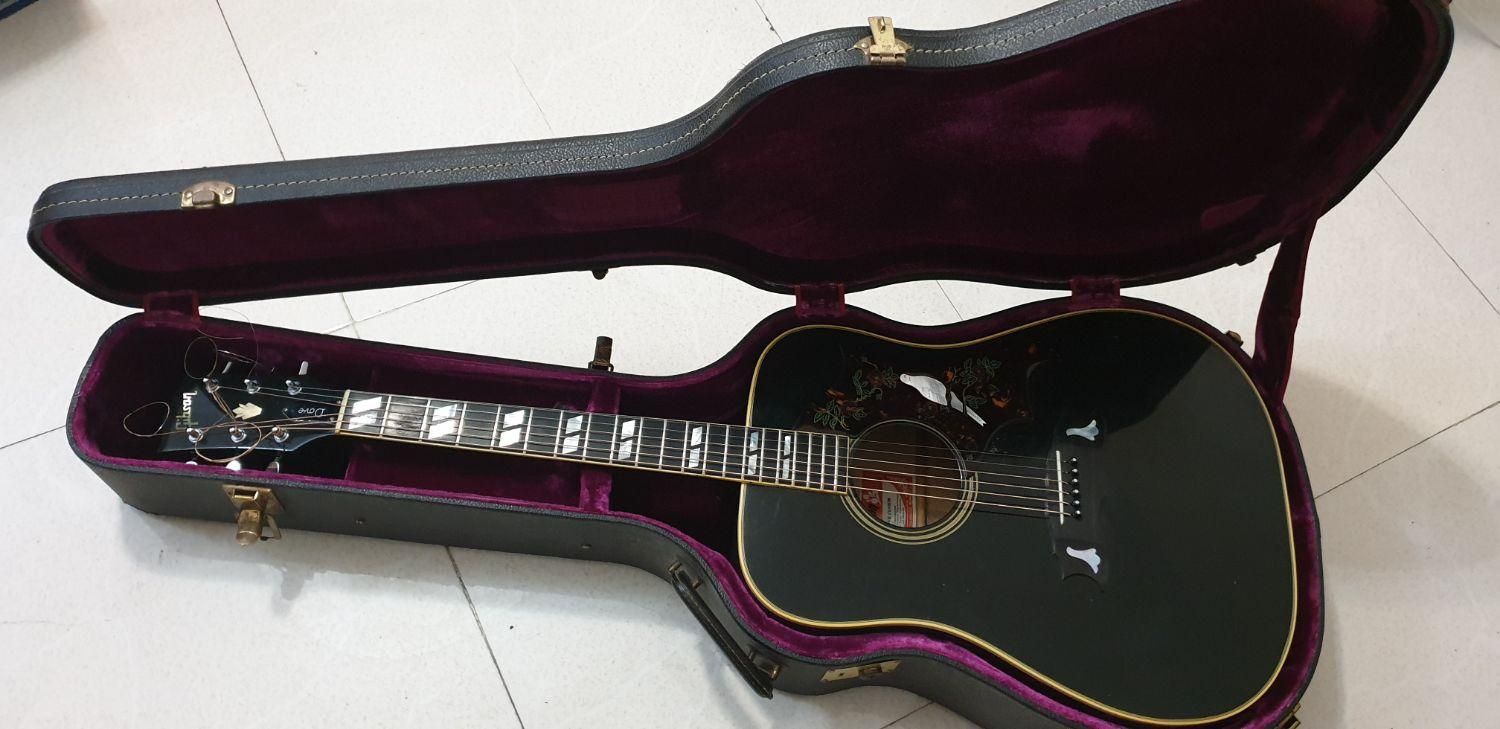 Gibson Dove Ebony black 1978|گیتار، بیس، امپلیفایر|تهران, ونک|دیوار