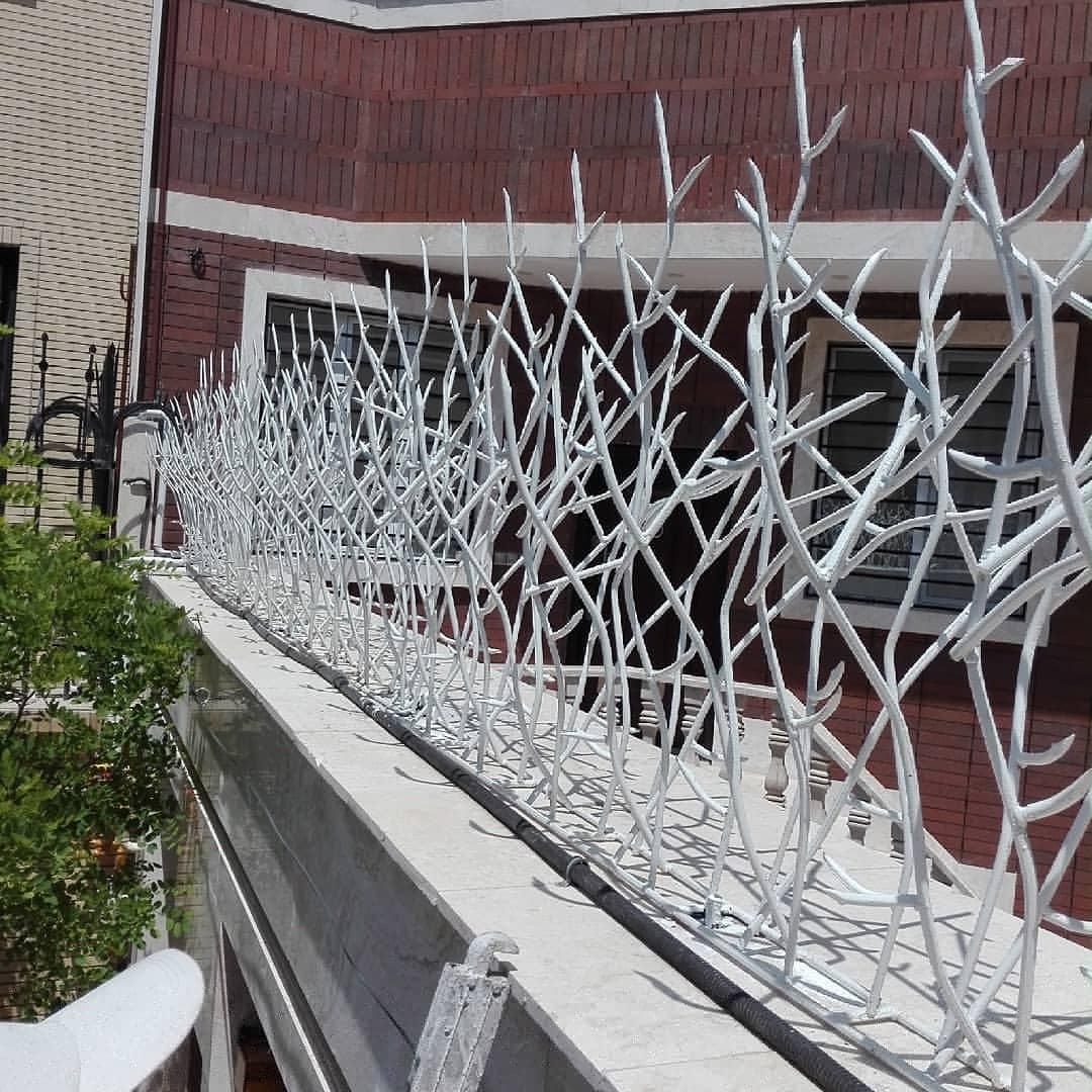 شاخ گوزنی میعاد آکاردئون فلزی حفاظ تاج|مصالح و تجهیزات ساختمان|یزد, |دیوار