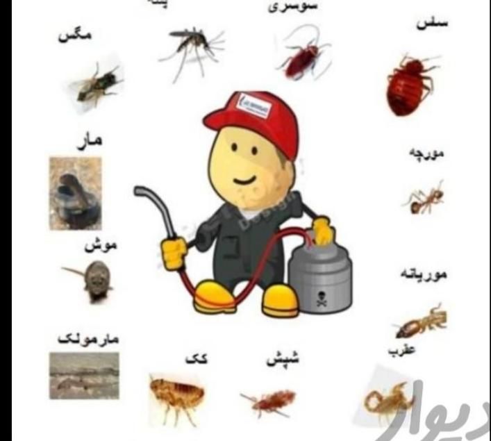 سمپاشی کافیه یک مرتبه سم پاشی مبارز را انتخاب کنید|خدمات نظافت|زاهدان, |دیوار