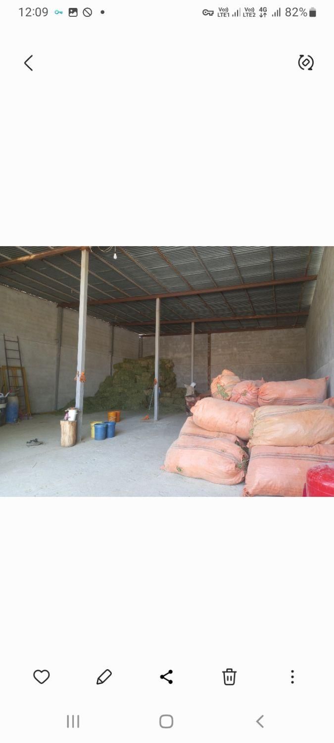 سوله اجاره ای برق ۳فاز باشگاه سوارکاری و اصطبل اسب|اجارهٔ دفتر صنعتی، کشاورزی، تجاری|شیراز, وزیرآباد|دیوار