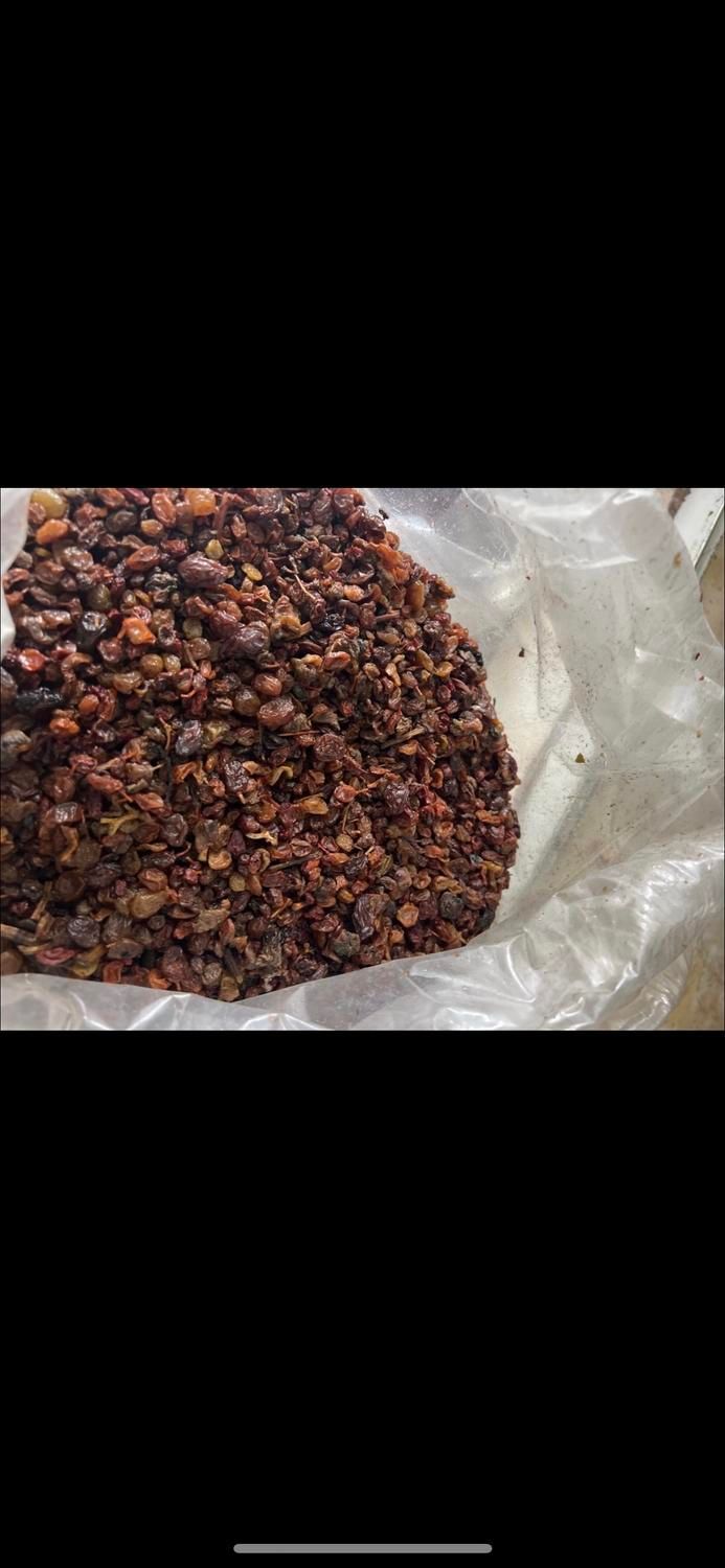 کشمش افتابی تاکستان|خوردنی و آشامیدنی|تاکستان, |دیوار