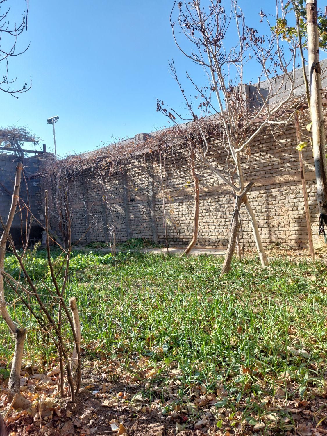 اجاره روزانه باغ ویلا|اجارهٔ کوتاهمدت ویلا و باغ|تربت جام, |دیوار