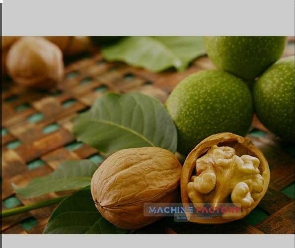 پوست کن ،پوست گیرسبزبادام وگردو۳۰۰۰|خدمات باغبانی و درختکاری|کرمانشاه, |دیوار