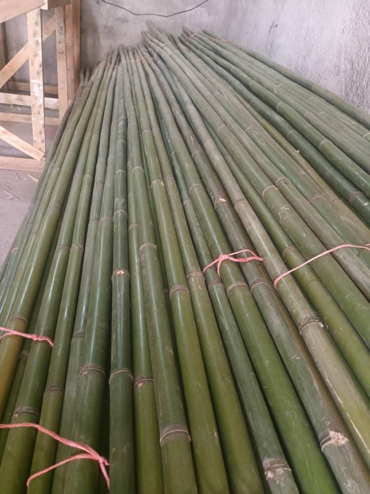 فروش چوب بامبو ۳ و ۴و ۵ متری قطر ۲و ۳ سانت|گل و گیاه طبیعی|اسلامشهر, ده عباس|دیوار