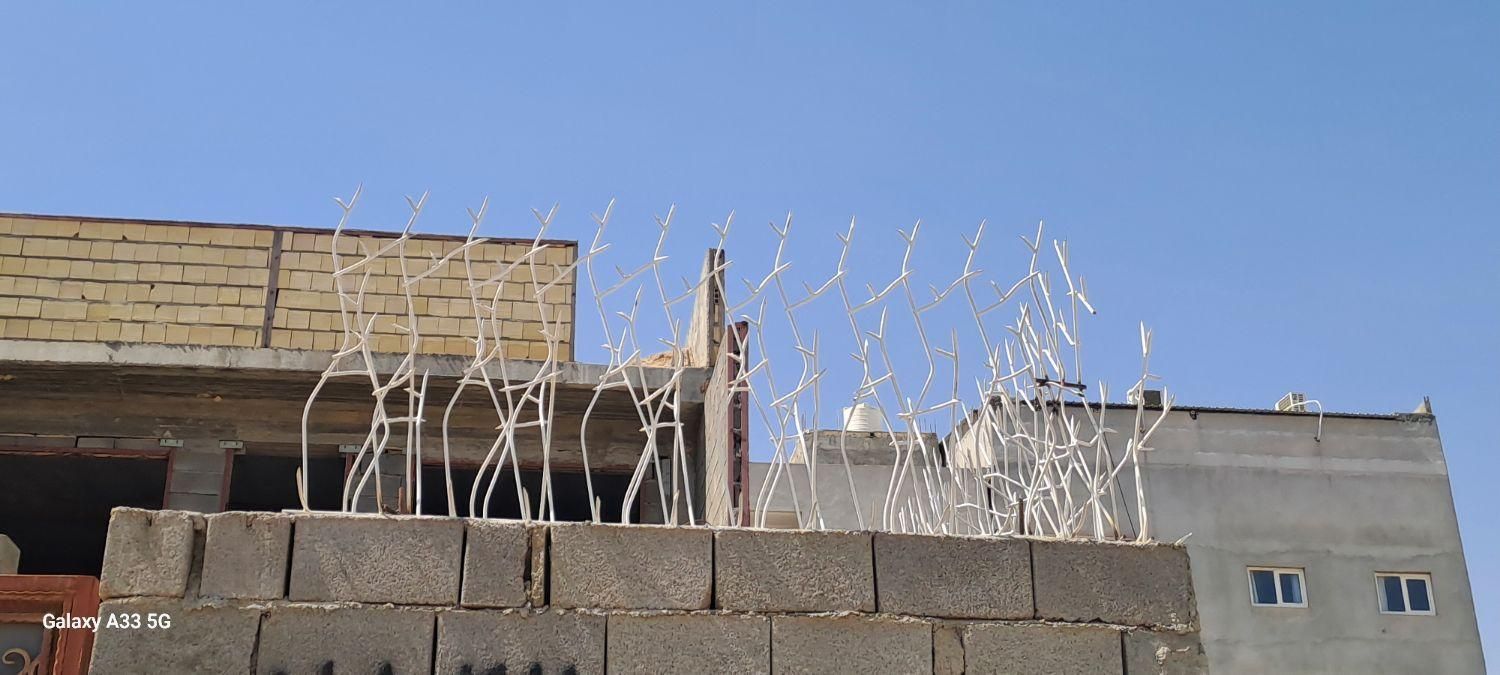 شاخ گوزنی و بوته ایی|مصالح و تجهیزات ساختمان|بندرعباس, |دیوار