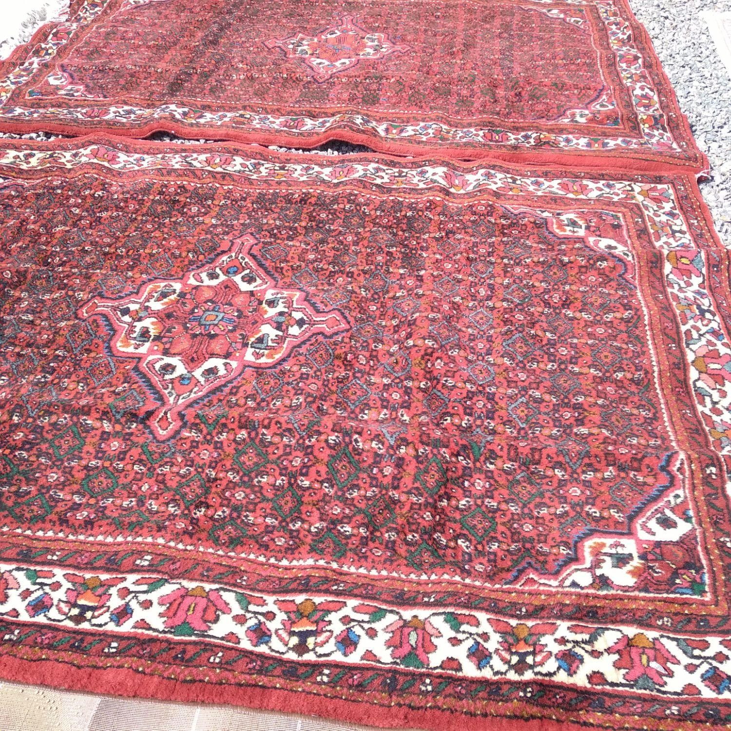 قالیشویی تخصصی نمونه|خدمات نظافت|همدان, |دیوار