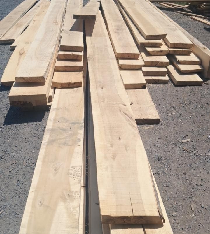 بنایی تختهpخرچیjتخته داربست تخته نما گچ کار نردبان|مصالح و تجهیزات ساختمان|تبریز, |دیوار