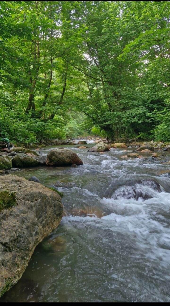 اجاره ویلا لب رودخانه جاده امامزاده ابراهیم|اجارهٔ کوتاه‌مدت ویلا و باغ|شفت, |دیوار