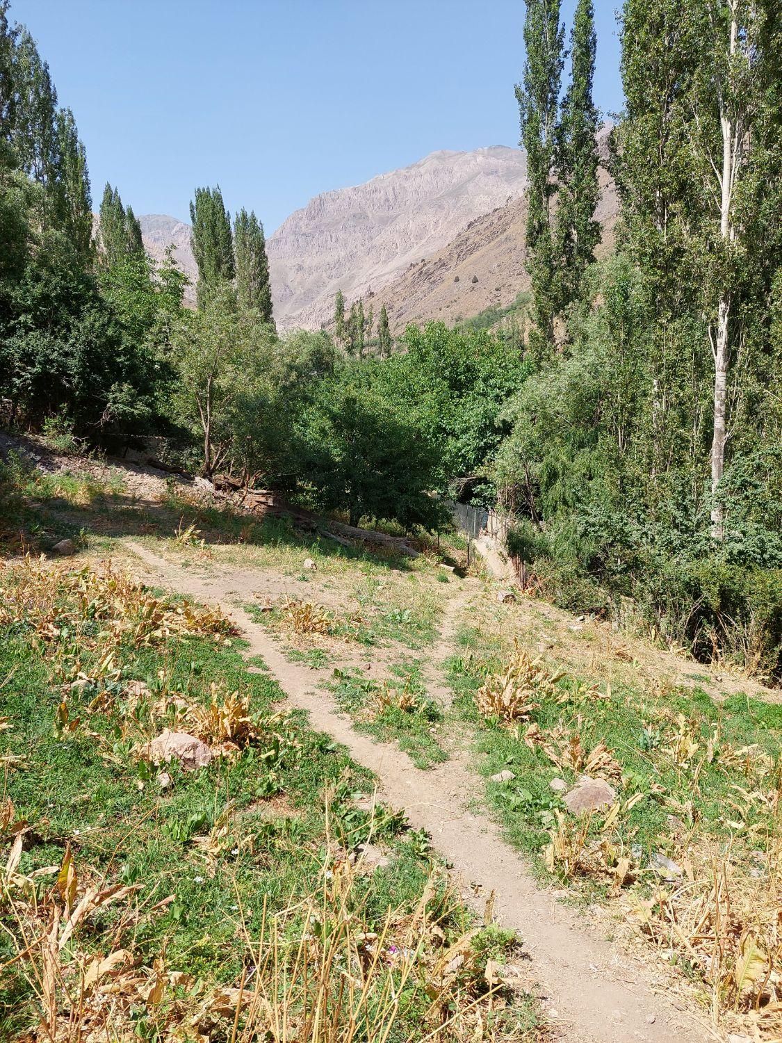 زمین فشم آبنیک سندتک برگ آب برق گاز تلفن|فروش زمین و ملک کلنگی|فشم, |دیوار