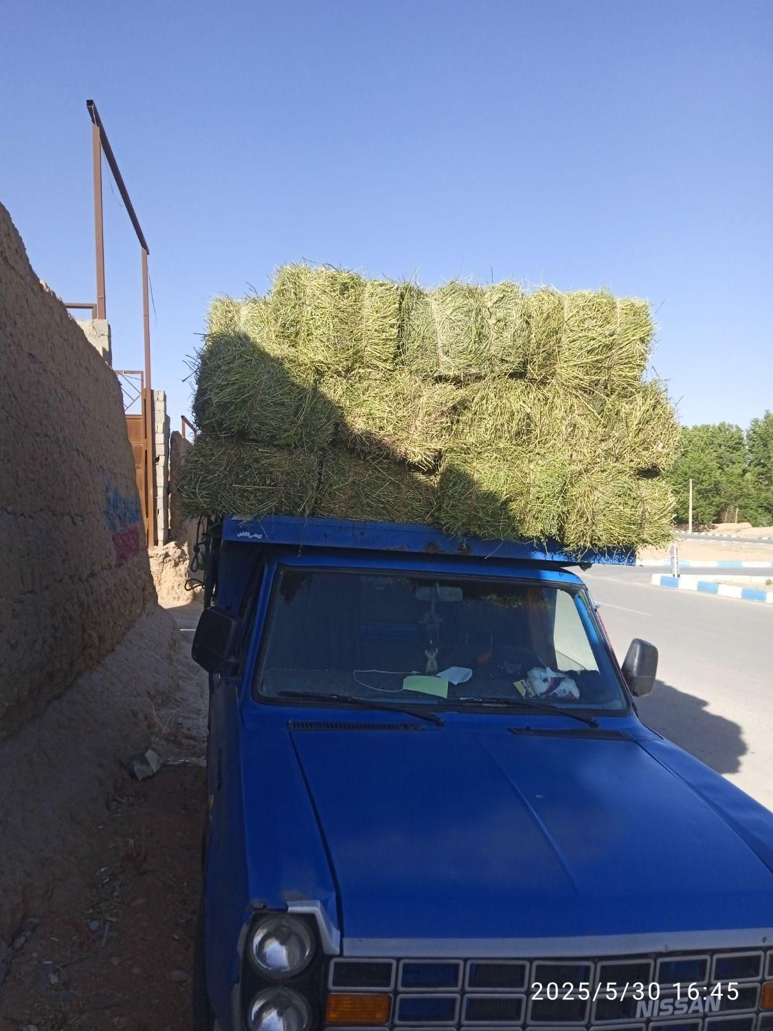 پرس گندم و یونجه تحویل اصفهان|حیوانات مزرعه|داران, |دیوار