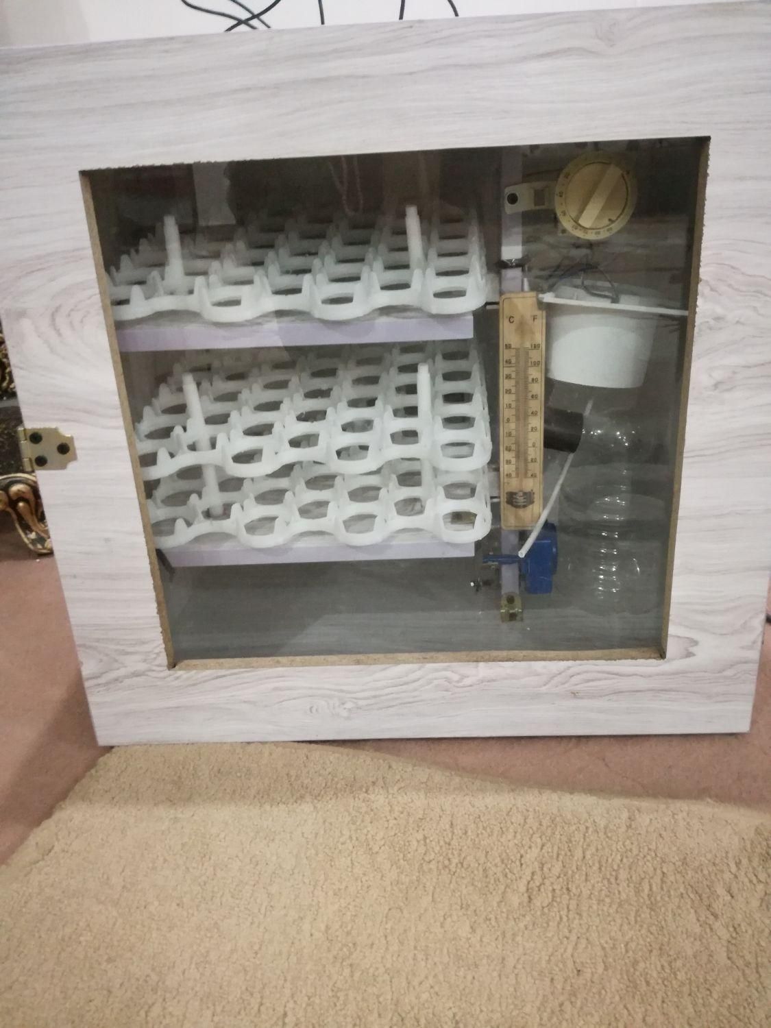 دستگاه جوجه کشی|لوازم جانبی حیوانات|زاهدان, |دیوار