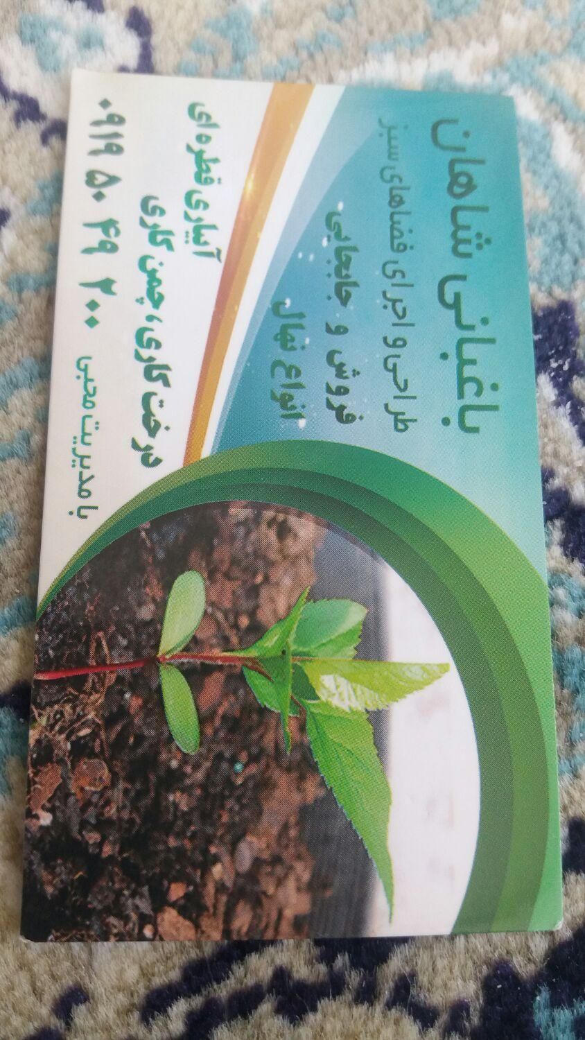 چمنکاری.کوددهی هرس گلکاری جابجای بیل زدن|خدمات باغبانی و درختکاری|پردیس, |دیوار