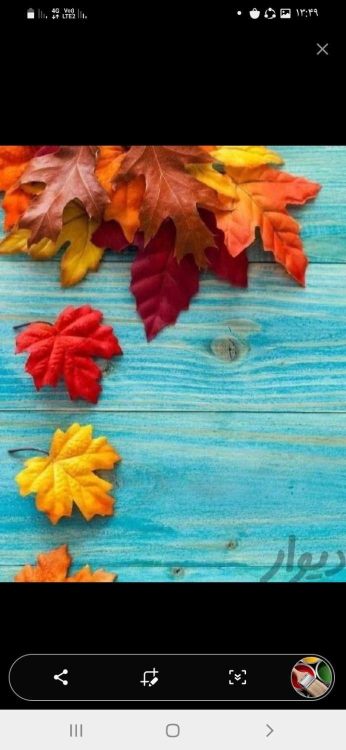 خدمات رنگکاری و نقاشی گلستان(گنبد و کل استان)|خدمات پیشه و مهارت|گنبد کاووس, |دیوار