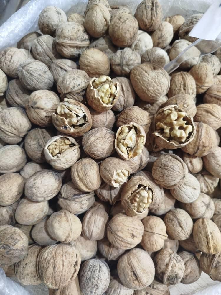 پخش عمده اجیل و خشکبار صدیک|عمده‌فروشی|شیراز, شهرک صنعتی|دیوار