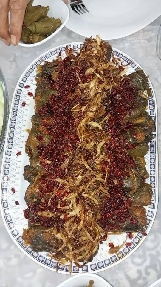 انواع غذا خانگی|خوردنی و آشامیدنی|قم, نوبهار|دیوار